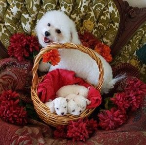 Meet your Posher, Deborah